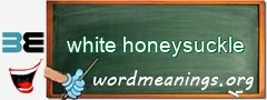 WordMeaning blackboard for white honeysuckle